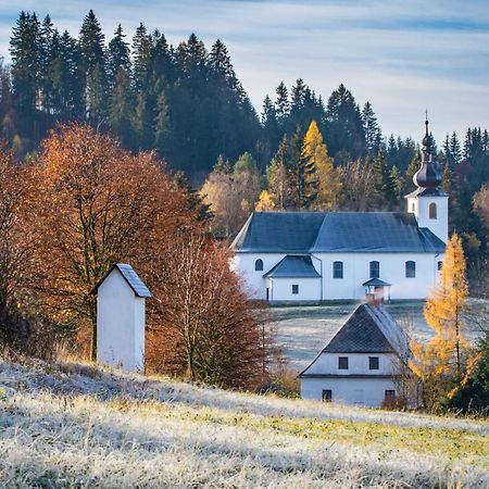 Apartament U Stare Hajenky Jindrichov Zewnętrze zdjęcie