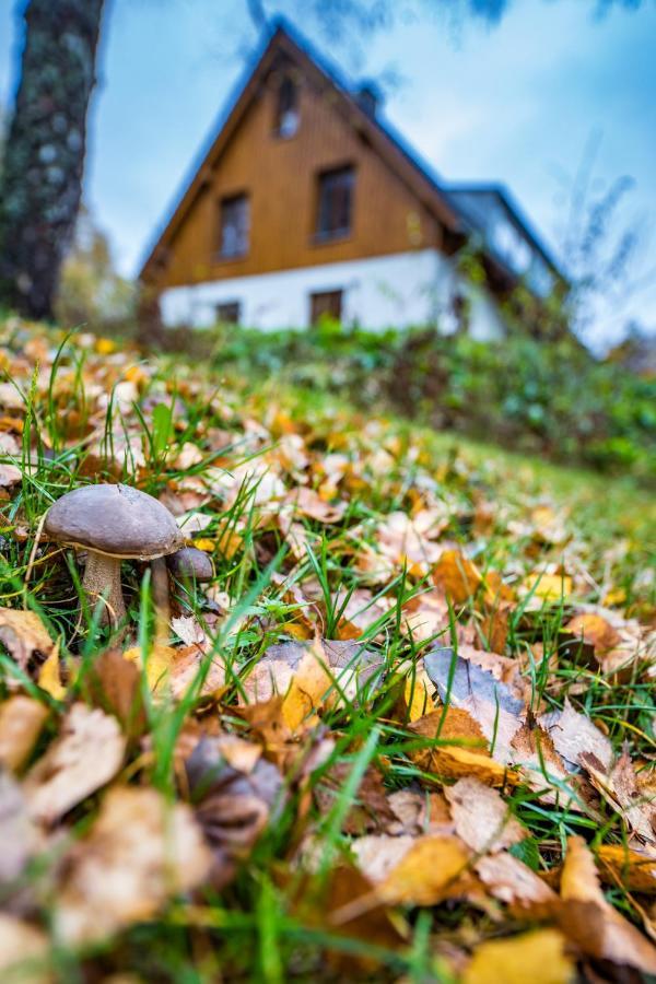 Apartament U Stare Hajenky Jindrichov Zewnętrze zdjęcie